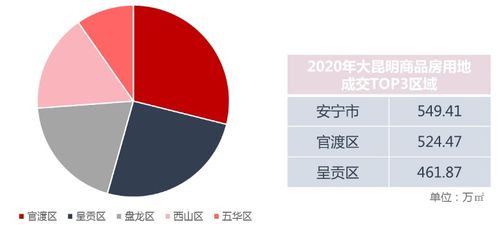 2020年云南 昆明房地产企业销售业绩排行榜